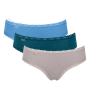 V010