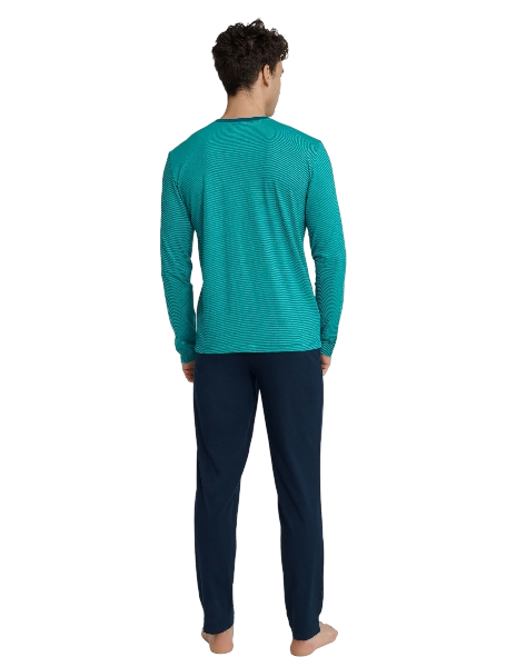 66x