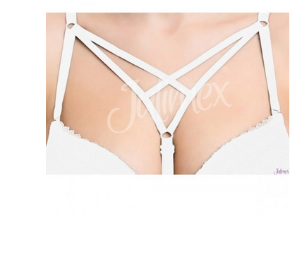 JULIMEX.png