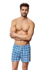 3-removebg-preview.png