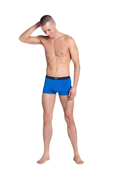 55x.png