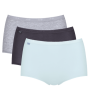 V010.png