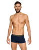mlc-2.png