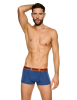 mlc-2.png