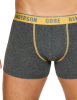 mlc-4.png
