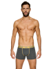 mlc-2.png